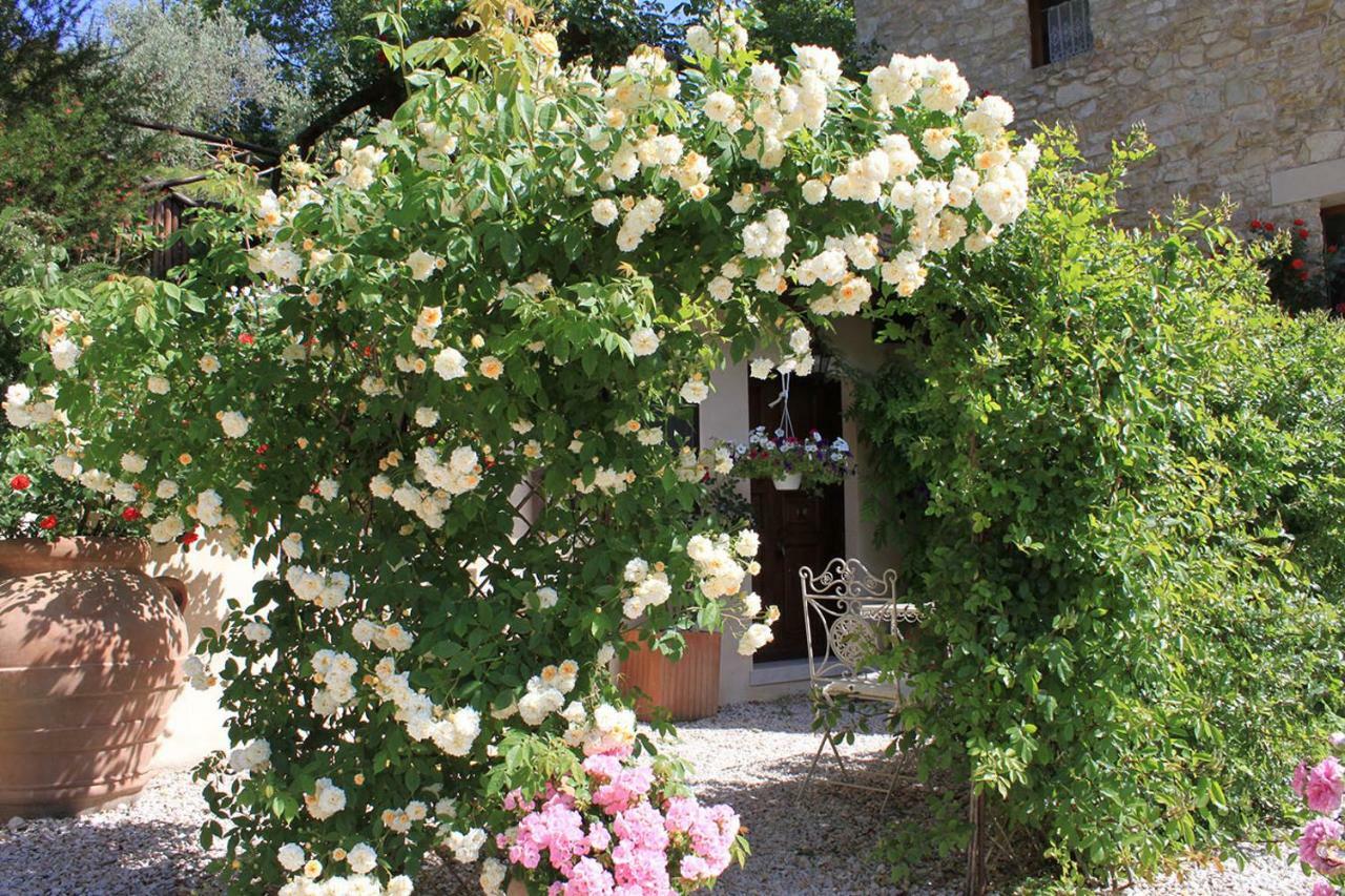Torre Del Falco Guest House Spoleto Exterior photo